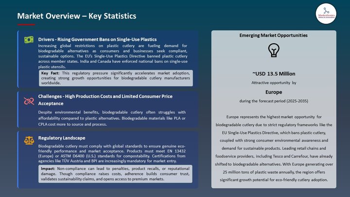 Biodegradable Cutlery Market Market Overview – Key Statistics
