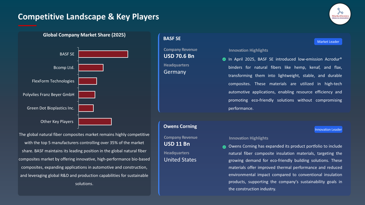 Natural Fiber composites Market- Key players