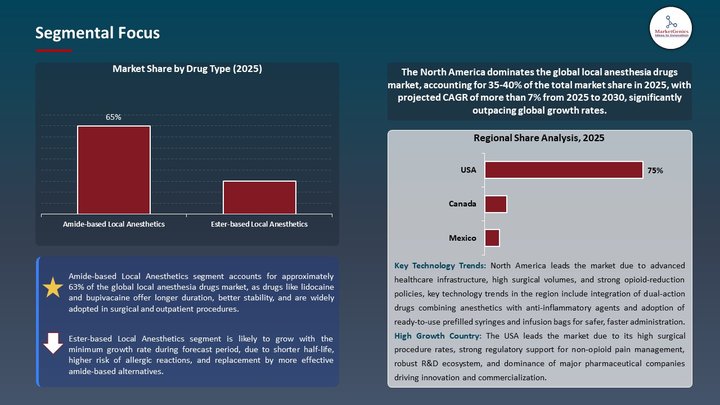 Local Anesthesia Drugs Market Segmental Focus