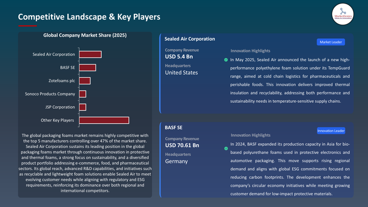 Packaging Foams Market -Key Players