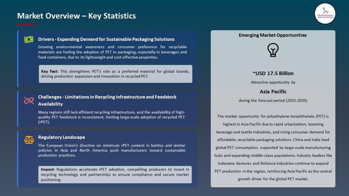 Polyethylene Terephthalate Market Market Overview – Key Statistics
