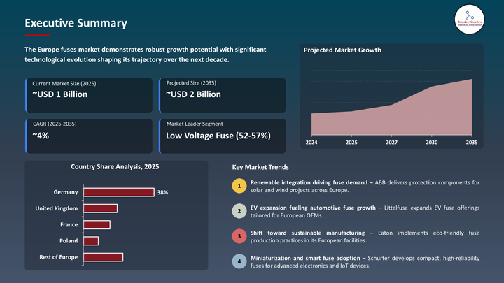 Europe Fuses Market -Executive Summary