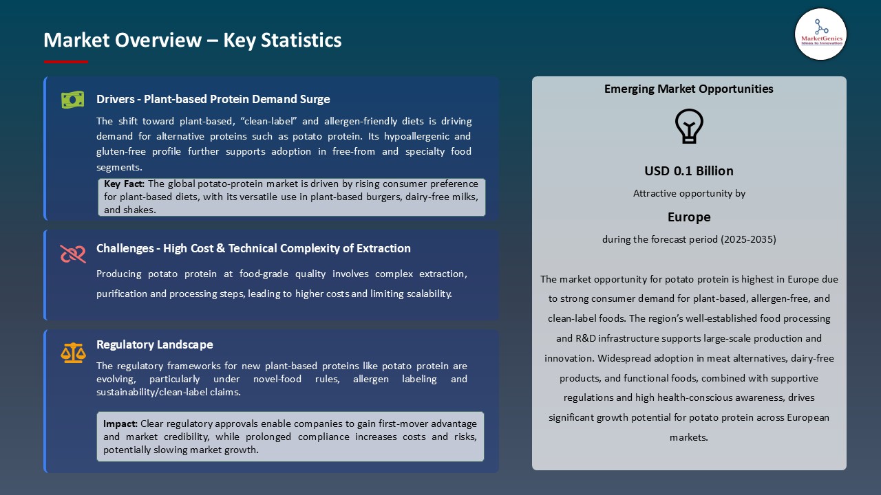 Potato Protein Market_Overview – Key Statistics