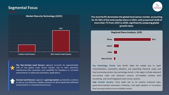 Level Sensor Market Segmental Focus