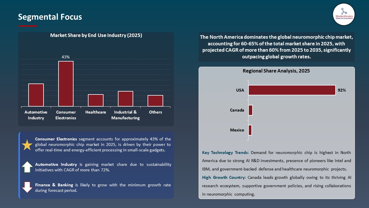 Neuromorphic Chip Market Segmental Focus