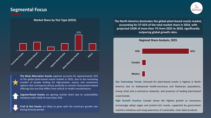Plant-based Snacks Market - Segmental Focus