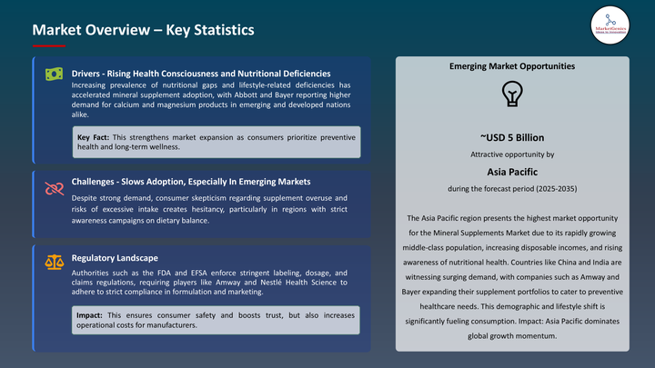Mineral Supplements Market Key Statistics