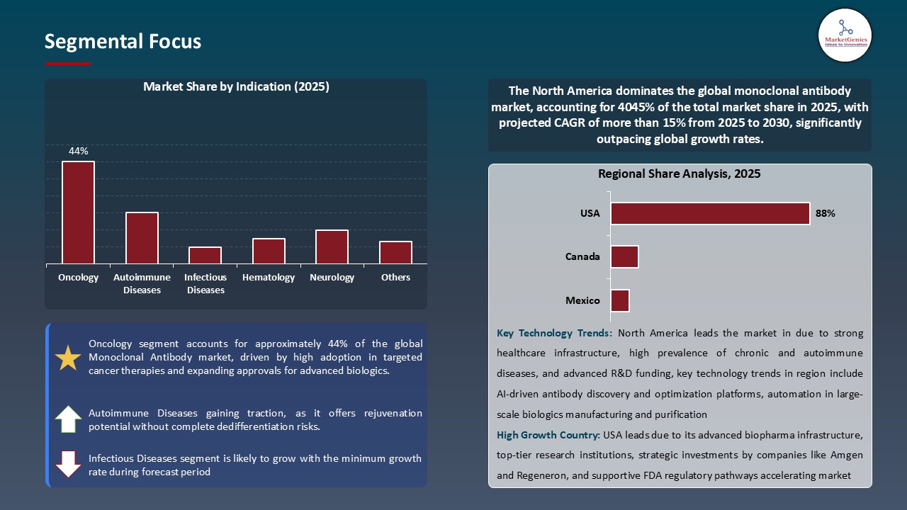 Monoclonal Antibody Market_Segmental Focus