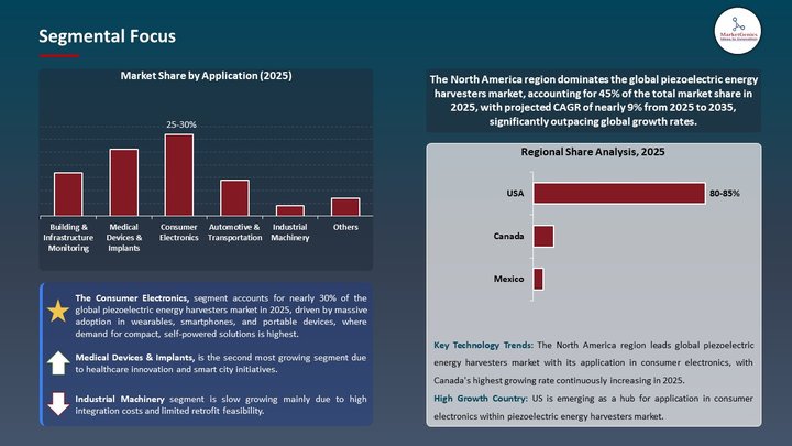 Piezoelectric Energy Harvesters Market Segmental Focus
