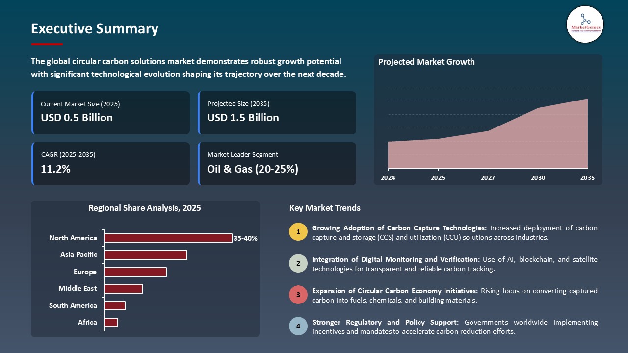 Circular Carbon Solutions Market_Executive Summary