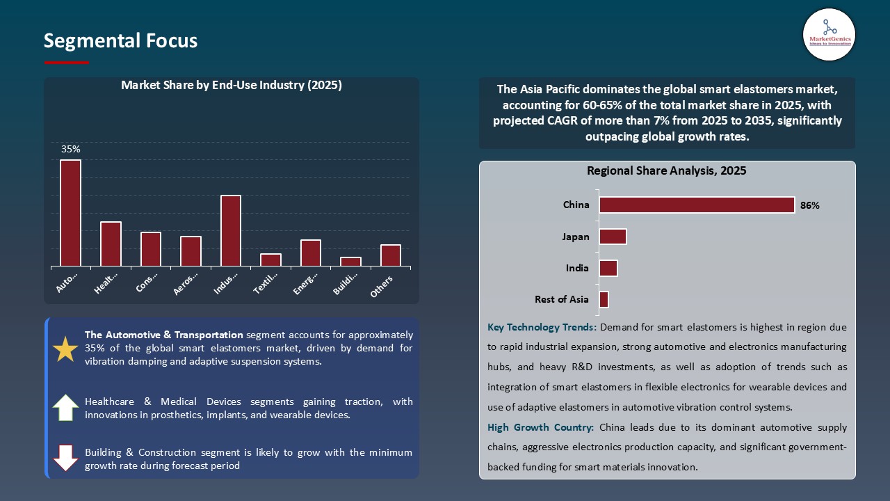 Smart Elastomers Market_Segmental Focus