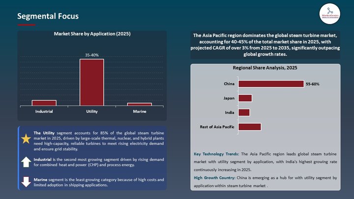 Steam Turbine Market Segmental Focus