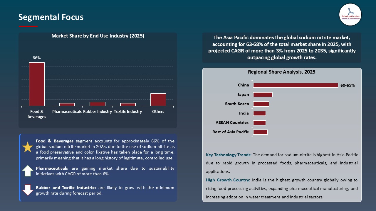 Sodium Nitrite Market_Segmental Focus