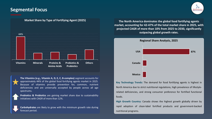 Food Fortifying Agents Market -Segmental Focus