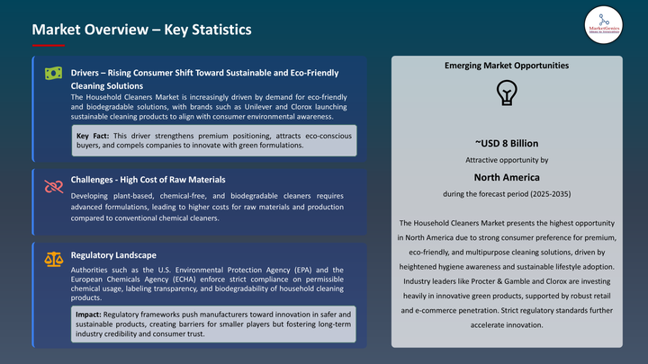 Household Cleaners Market -Key Statistics