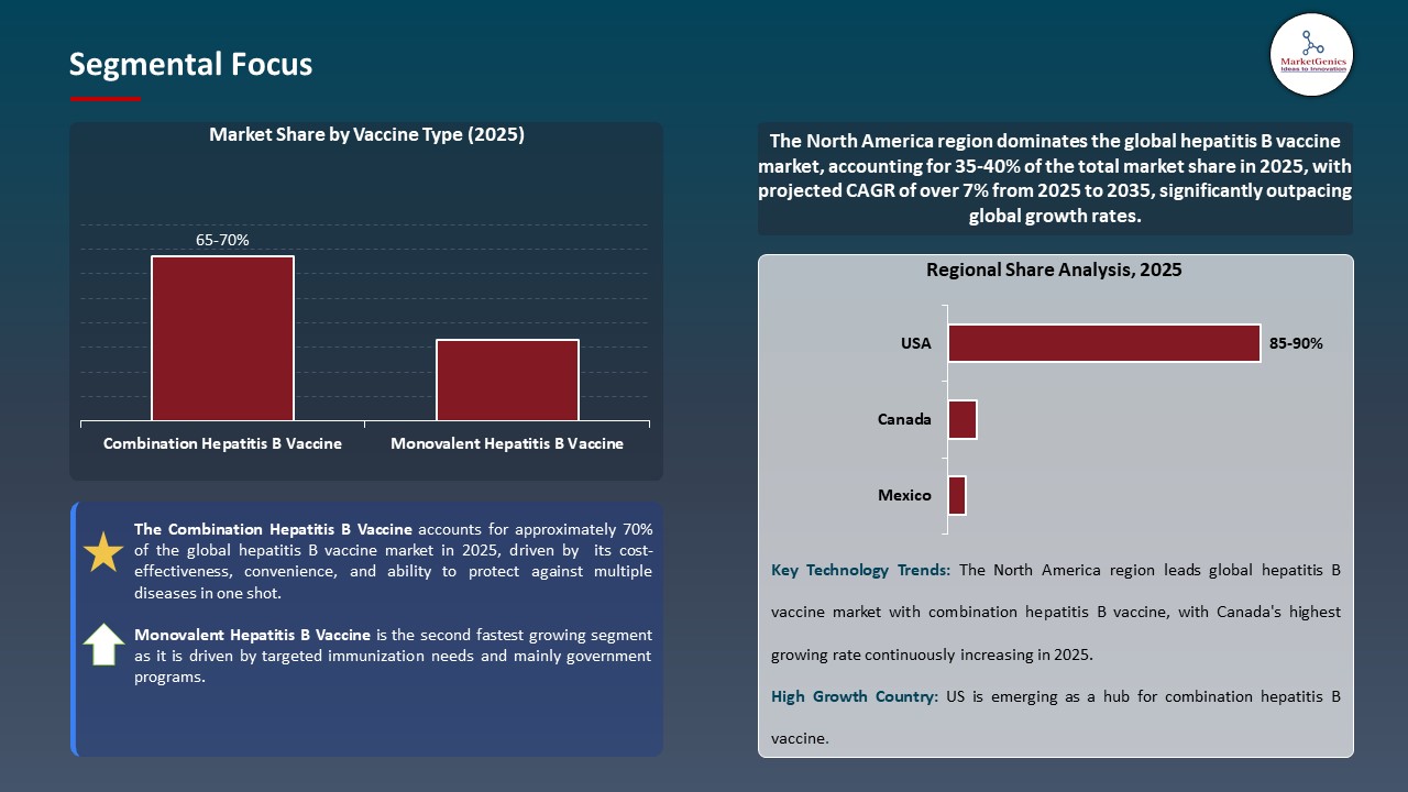 Hepatitis B Vaccine Market Segmental Focus