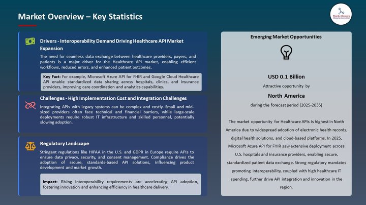 Health Care API Market Market Overview – Key Statistics