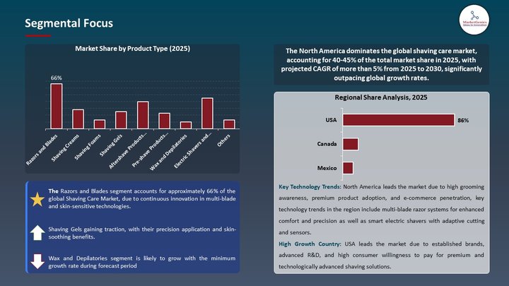 Shaving Care Market Segmental Focus