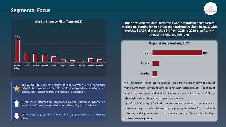 Natural Fiber Composites Market - Segmental focus