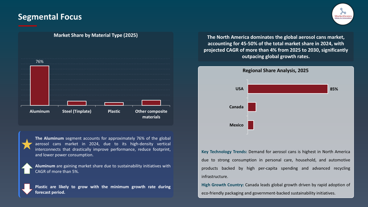 Aerosol Cans Market -Segmental data