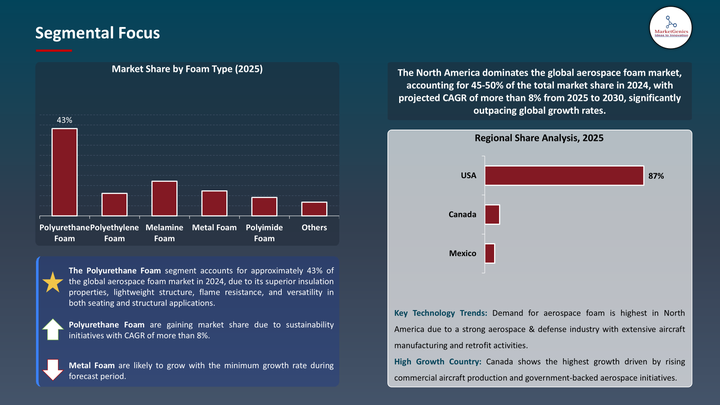 Global Foam market segmental focus