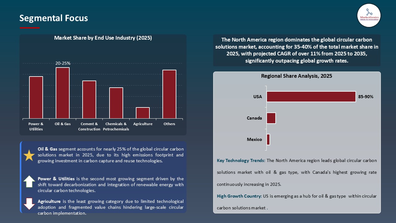 Circular Carbon Solutions Market_Segmental Focus