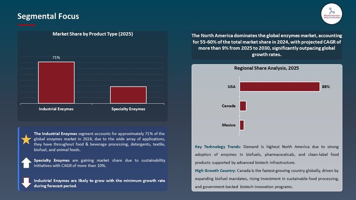 Enzymes Market Segmental Focus
