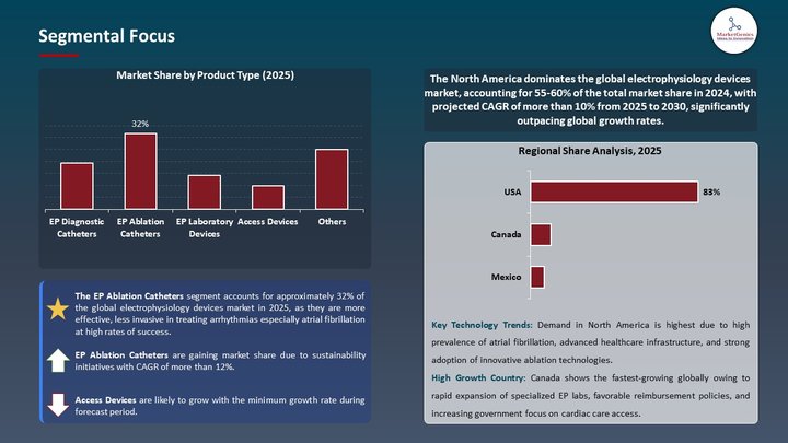 electrophysiology devices market Segmental Focus