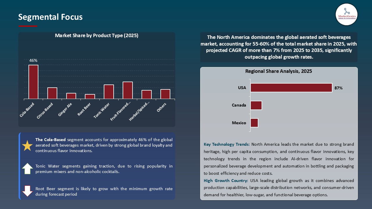 Aerated Soft Beverages Market_Segmental Focus