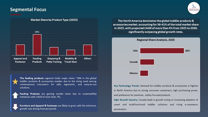 Toddler Products & Accessories Market Segmental Focus