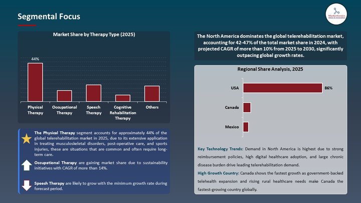 Telerehabilitation Market Segmental Focus