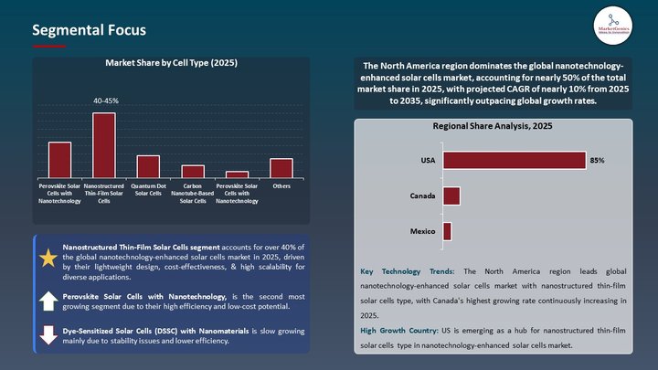 Nanotechnology-Enhanced Solar Cells Market Segmental Focus