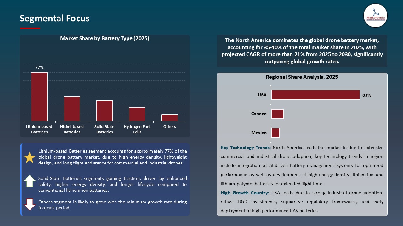 Drone Battery Market_Segmental Focus