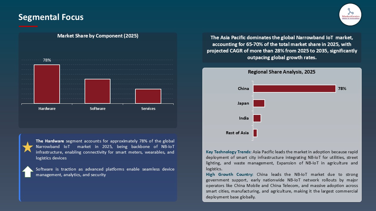 Narrowband IoT Market Segmental Focus