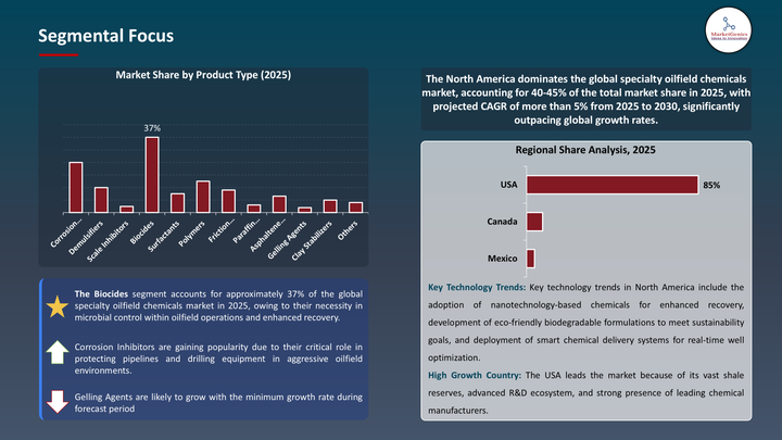Specialty Oilfield Chemicals Market -Segmental focus