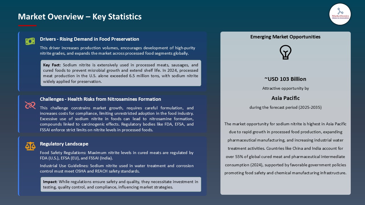 Sodium Nitrite Market_Overview – Key Statistics