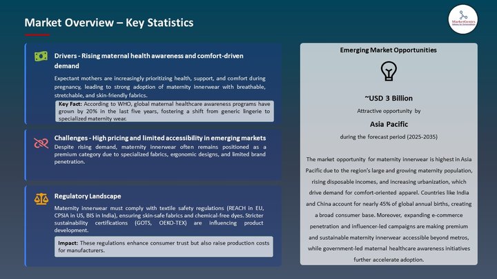 Maternity Innerwear Market Market Overview – Key Statistics