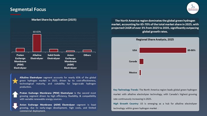 Green Hydrogen Market Segmental Focus