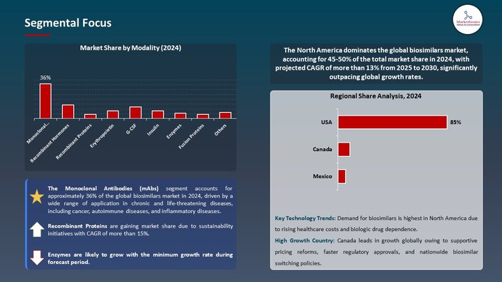 Biosimilars Market Segmental Focus