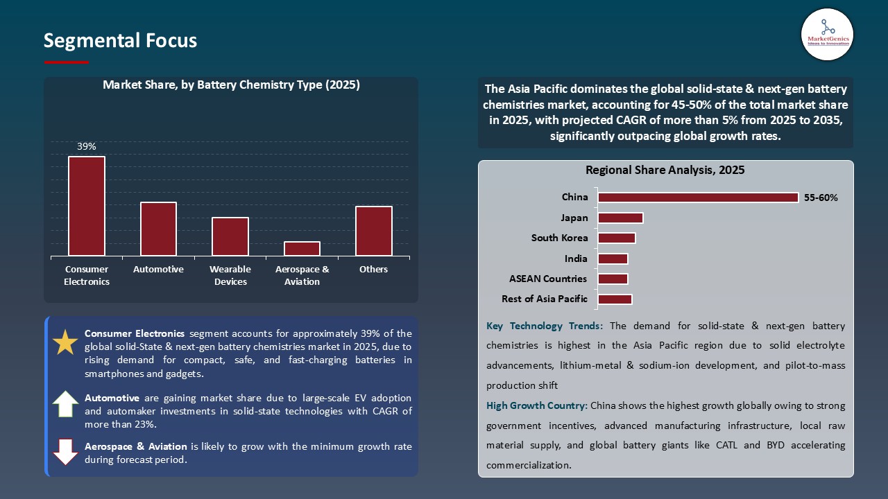 Solid-state & Next-gen Battery Chemistries Market_Segmental Focus