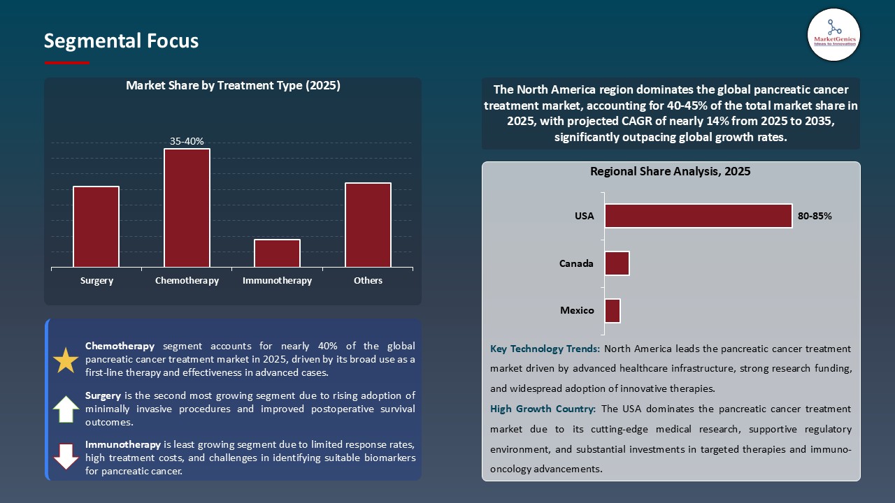 Pancreatic Cancer Treatment Market_Segmental Focus