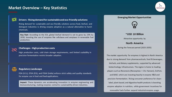 Enzymes Market Market Overview – Key Statistics