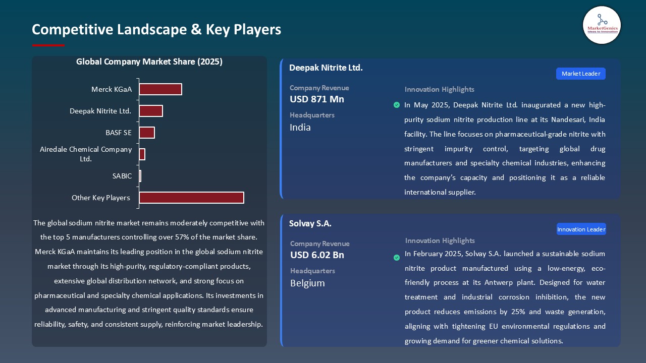 Sodium Nitrite Market_Competitive Landscape & Key Players