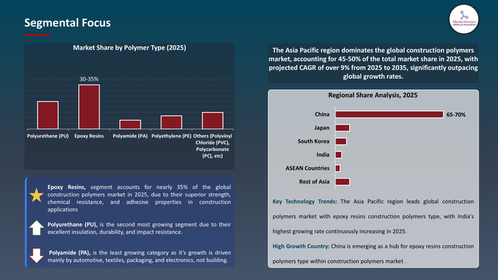 Construction Polymer Market -Segmental Focus