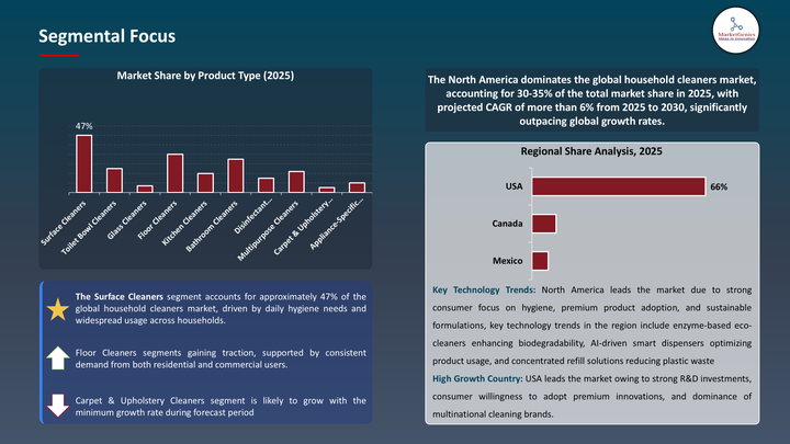 Household Cleaners Market -Segmental Focus