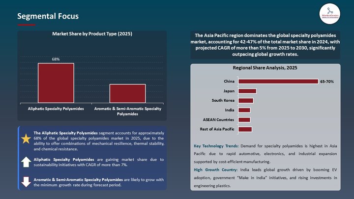 Specialty Polyamides Market Segmental Focus