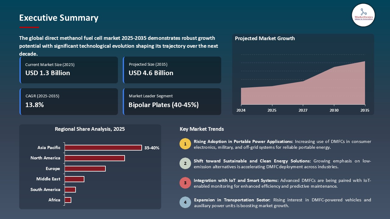 Direct Methanol Fuel Cell Market_Executive Summary