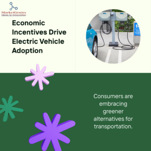 Economic Incentives Drive Electric Vehicle Adoption