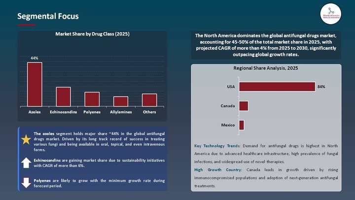 Antifungal Drugs Market Segmental Focus