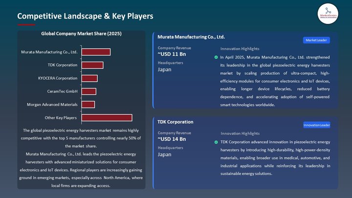 Piezoelectric Energy Harvesters Market Competitive Landscape & Key Players